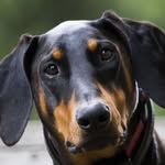 John Walling - @john.walling.547 - Instagram