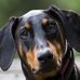 John Walling - Facebook