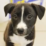 @john_walling_ - Instagram