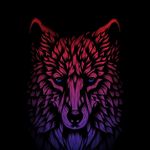 Johnwallner - @jwalnner - Instagram