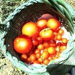 John Mark Walpole - @johnmarkwalpole - Instagram