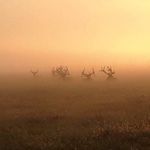 John Walpole - @john.walpole.56 - Instagram