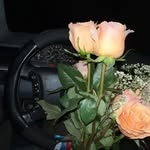John Wandell - @john.wandell - Instagram