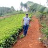 John Wanjohi541 - @johnwanjohi541 - TikTok