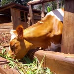 John Wanjohi - @john.wanjohi.186 - Instagram