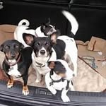 John Waterfall - @jswaterfall - Instagram