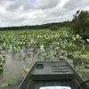 John Watts - @john.watts04 - TikTok