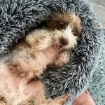 John Weatherbie - @johnweatherbie - Instagram