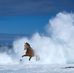 Jon Weatherman - Facebook