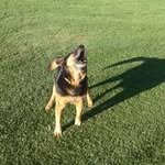 John Weathers - @t4jn3 - Instagram