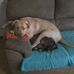 John Weatherwax - Facebook