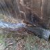 John Webber - Facebook