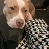 John Weber - @john.weber44 - TikTok