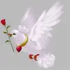 johnwebley683638 - @johnwebley683638 - TikTok