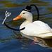 John Wedel - Facebook
