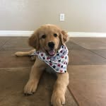 john weekly - @weekly.john - Instagram