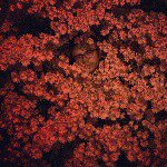 John Weeks - @jahnweeks - Instagram