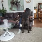 John Weel - @johnweel6850 - Instagram