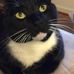 John Wehmeyer - Facebook