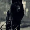 DaddyDarkWolf - @johnweida2 - TikTok