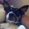 john weis - @john.weis8 - TikTok