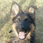 John Welder - @johnwelder6 - Instagram