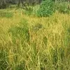 John welders - @john.welders - TikTok