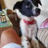 johnweldon345 - @johnweldon345 - TikTok