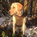 John Welke - Facebook