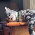 John Welken - @johnwelken - Instagram