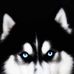John Well - Facebook