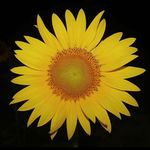 John Welsh - @photographymidwest - Instagram