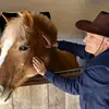John Welsh - @john.welsh87 - TikTok