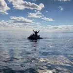 John Wengerter - @johnwengerter - Instagram