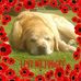 John Wearmouth - Facebook