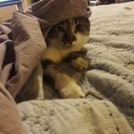 John Wertman - @johnwertman - Instagram