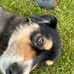 John West - Facebook