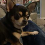 John Westfall - @westfalljohn157 - Instagram