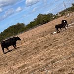 John Westin - @john_westin7 - Instagram