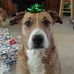 John Westrum - Facebook