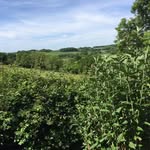 Jon Westwater - @jon.westwater - Instagram