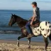 John Whaley - @johnwhaley69 - TikTok