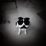 John Whetsel - @jwhetsel6 - Instagram