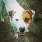 Johnathon whetsel - @johnathonwhetsel - Instagram