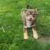 John Whiffen - Facebook