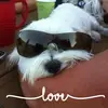 John Whitehead - @johnwhitehead05 - TikTok