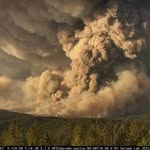 Jon Whitehill - @jonwhitehill - Instagram