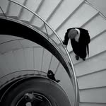 johnwhitham - @voigtf64 - Instagram