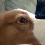 John Whitlatch - @john.whitlatch.5 - Instagram