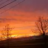 john.whitlatch - @john.whitlatch - TikTok